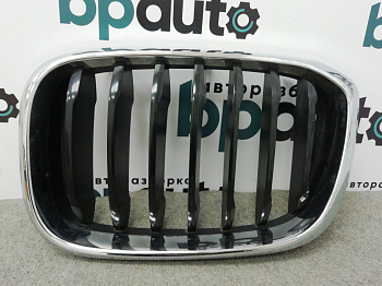 Фотография детали AA004534; Решетка радиатора левая (51137478669) для BMW/БУ; Оригинал; Р1, Мелкий дефект; . Фото номер 1