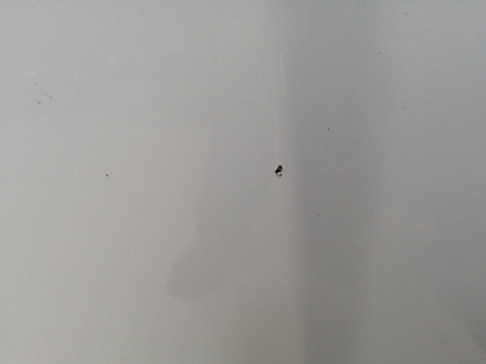 AA045237; Капот (EGY15231XD) для Mazda CX-7/БУ; Оригинал; Р1, Мелкий дефект; 