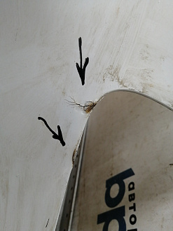 AA045634; Бампер передний, S-line; под паркт.; под омыват. (8T0 807 437 AM) для Audi A5/БУ; Оригинал; Р1, Мелкий дефект; 