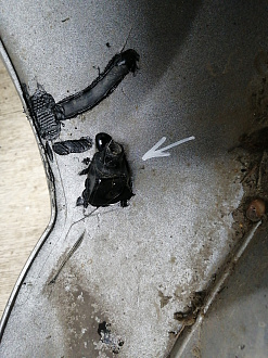 BA000141; Бампер задний; под паркт. (86611-4L500) для Hyundai Solaris I рест. Sedan (2014- 2016)/БУ; Оригинал; Р1, Мелкий дефект; 