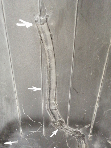 Фотография детали AA040756; Бампер задний; под паркт. (86611-2J700) для Kia Mohave I рест. (2016- 2019)/БУ; Оригинал; Р2, Удовлетворительное; . Фото номер 18