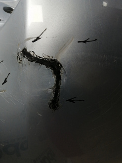 AA045812; Бампер задний; без паркт. (52159-02400) для Toyota Auris I (2007- 2010)/БУ; Оригинал; Р1, Мелкий дефект; 